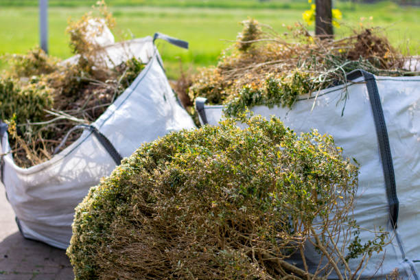Best Yard Cleanup Services  in Chrisman, IL